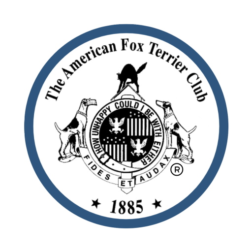 American Fox Terrier Club
